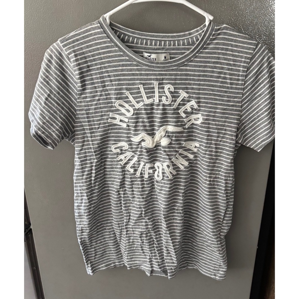 Hollister California Mens Grey White Striped Graphic Logo T-Shirt Size M